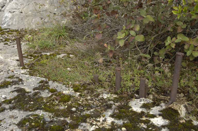 Barres métalliques (coins) enfoncées dans la masse rocheuse. Ces coins ont servi à séparer, sur l'arrière, le bloc de la masse. © Région Bourgogne-Franche-Comté, Inventaire du patrimoine