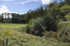 Carrière au sud-ouest de la rue. © Région Bourgogne-Franche-Comté, Inventaire du patrimoine