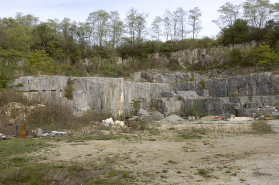 Vue d'ensemble du front de taille. © Région Bourgogne-Franche-Comté, Inventaire du patrimoine