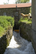 Bief d'amenée du moulin à huile. © Région Bourgogne-Franche-Comté, Inventaire du patrimoine