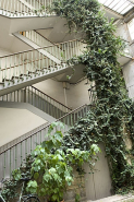 Vue de l'escalier à cage ouverte depuis la cour. © Région Bourgogne-Franche-Comté, Inventaire du Patrimoine