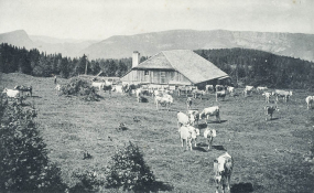 Ferme © Région Bourgogne-Franche-Comté, Inventaire du patrimoine