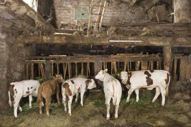 Ferme © Région Bourgogne-Franche-Comté, Inventaire du patrimoine