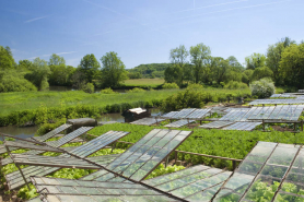 Rue Molière : jardins au long du canal. © Région Bourgogne-Franche-Comté, Inventaire du patrimoine