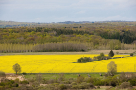 Paysage en haut de la ferme de Bethléem. © Région Bourgogne-Franche-Comté, Inventaire du patrimoine