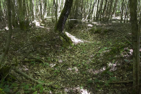 Camp militaire du bois des Balières : un exemple de tranchée. © Région Bourgogne-Franche-Comté, Inventaire du patrimoine
