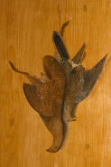 Salle à manger : nature morte ornant la 3e porte. © Région Bourgogne-Franche-Comté, Inventaire du patrimoine