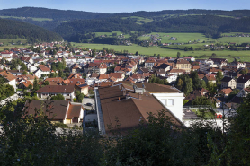 Vue d'ensemble, depuis le nord-ouest, avec la ville en arrière-plan. © Région Bourgogne-Franche-Comté, Inventaire du patrimoine
