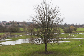 Vue générale du Breuil, zone inondable. © Région Bourgogne-Franche-Comté, Inventaire du patrimoine