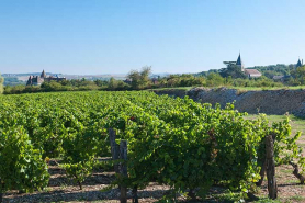 Vignes, ouest de la ville © Région Bourgogne-Franche-Comté, Inventaire du patrimoine