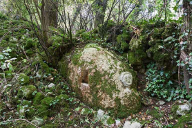 Pierre calcaire sculptée d'un visage humain située dans le Bois de Natoy © Région Bourgogne-Franche-Comté, Inventaire du patrimoine