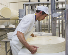 Fabrication du morbier : découpage en épaisseur du pain de caillé. © Région Bourgogne-Franche-Comté, Inventaire du patrimoine