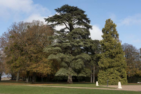 Vue partielle du parc. © Région Bourgogne-Franche-Comté, Inventaire du patrimoine
