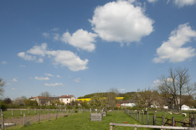 Vue générale des jardins depuis les façades postérieures des maisons situées dans la Grande rue. © Région Bourgogne-Franche-Comté, Inventaire du patrimoine