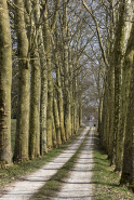 L'entrée du château par l'ouest. © Région Bourgogne-Franche-Comté, Inventaire du patrimoine