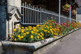 Détail du décor du robinet de l'abreuvoir. © Région Bourgogne-Franche-Comté, Inventaire du patrimoine