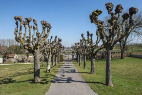 L'allée conduisant au cimetière. © Région Bourgogne-Franche-Comté, Inventaire du patrimoine
