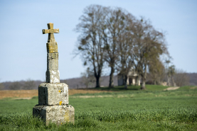 Croix de chemin (remontée) non loin de la chapelle St Brice. © Région Bourgogne-Franche-Comté, Inventaire du patrimoine