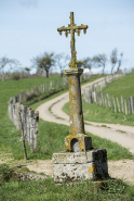 Croix saint Thiébaud (rue de Raincourt) © Région Bourgogne-Franche-Comté, Inventaire du patrimoine