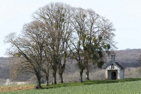Chapelle saint-Brice. © Région Bourgogne-Franche-Comté, Inventaire du patrimoine