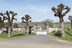 Grille d'entrée et mur d'enceinte du cimetière. © Région Bourgogne-Franche-Comté, Inventaire du patrimoine