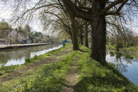 La digue séparant le canal de la rivière. © Région Bourgogne-Franche-Comté, Inventaire du patrimoine