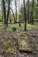 Tombe en ruine. © Région Bourgogne-Franche-Comté, Inventaire du patrimoine