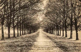 Allée des Boulingrins. © Région Bourgogne-Franche-Comté, Inventaire du patrimoine