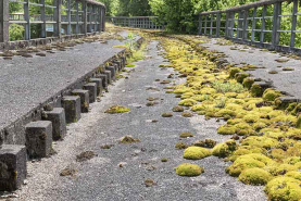 20243900783NUC4A © Région Bourgogne-Franche-Comté, Inventaire du patrimoine