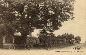 Oratoire arbre isolé chariot charrue © Archives départementales de la Haute-Saône