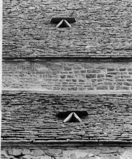 Détail des chattières des toits. © Région Bourgogne-Franche-Comté, Inventaire du patrimoine