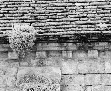 Bas-côté gauche : détail de la corniche. © Région Bourgogne-Franche-Comté, Inventaire du patrimoine