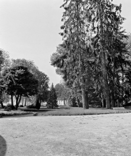 Le parc. © Région Bourgogne-Franche-Comté, Inventaire du patrimoine Le parc. © Région Bourgogne-Franche-Comté, Inventaire du patrimoine