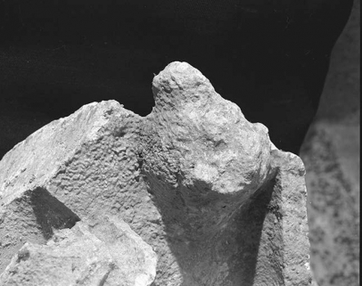 Pinacle du clocher n°2, déposé dans la nef, détail. © Région Bourgogne-Franche-Comté, Inventaire du patrimoine