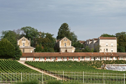 Vue d'ensemble avec les vignes. © Région Bourgogne-Franche-Comté, Inventaire du patrimoine