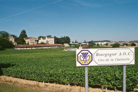 Vue d'ensemble avec les vignes. © Région Bourgogne-Franche-Comté, Inventaire du patrimoine