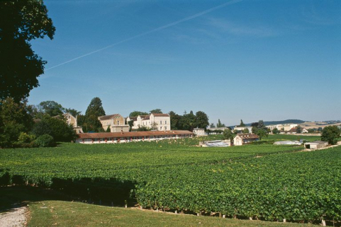 Vue d'ensemble avec les vignes. © Région Bourgogne-Franche-Comté, Inventaire du patrimoine