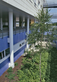 Aile gauche, patio et jardin. © Région Bourgogne-Franche-Comté, Inventaire du patrimoine