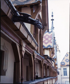 Grande aile sur cour : gargouille conçue par le sculpteur Adolphe Gleisse (début XXe siècle). © Région Bourgogne-Franche-Comté, Inventaire du patrimoine
