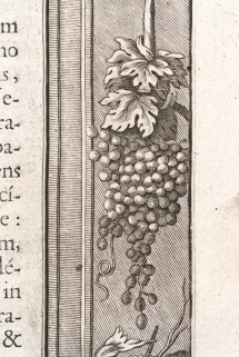 Page 319, détail : grappe de raisin. © Région Bourgogne-Franche-Comté, Inventaire du patrimoine