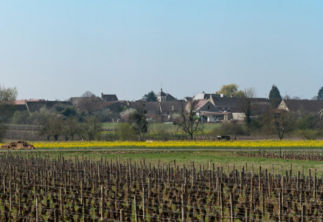 Eglise et village. © Région Bourgogne-Franche-Comté, Inventaire du patrimoine