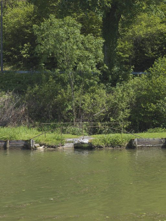 Rive droite : arrivée de la rigole d'alimentation plus en aval dans le bief. © Région Bourgogne-Franche-Comté, Inventaire du patrimoine