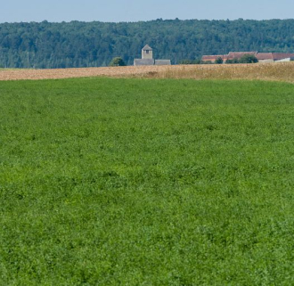 L'église de Chassignelles. © Région Bourgogne-Franche-Comté, Inventaire du patrimoine