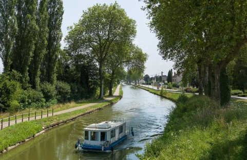 L'alignement de platanes. © Région Bourgogne-Franche-Comté, Inventaire du patrimoine