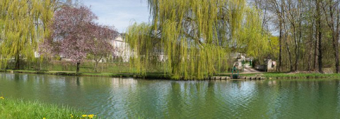 Le château pris de la rive gauche. On aperçoit la vanne d'une rigole du parc du château. © Région Bourgogne-Franche-Comté, Inventaire du patrimoine