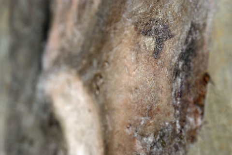  peinture monumentale © Région Bourgogne-Franche-Comté, Inventaire du patrimoine