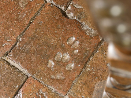  château fort © Région Bourgogne-Franche-Comté, Inventaire du patrimoine
