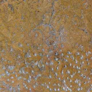 Dalle n°2 : décor. © Région Bourgogne-Franche-Comté, Inventaire du patrimoine