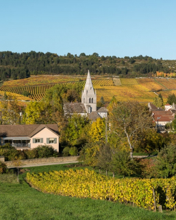 L'église dans son vignoble. © Région Bourgogne-Franche-Comté, Inventaire du patrimoine