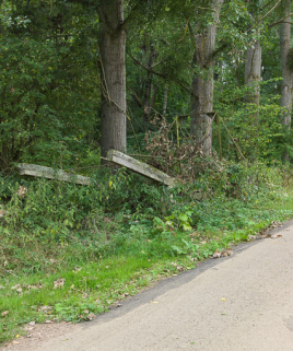 Ancienne passerelle abandonnée. © Région Bourgogne-Franche-Comté, Inventaire du patrimoine